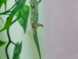 Tiergarten Schönbrunn am 03.10.2025